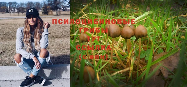 экстази Гусиноозёрск