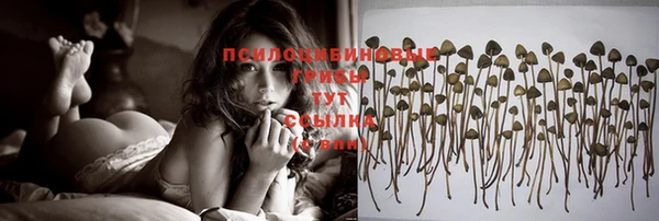 молекула духа Гусь-Хрустальный