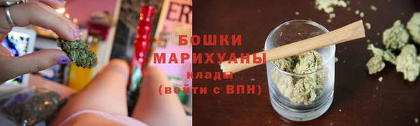 крисы Гусев