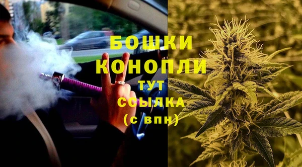 крисы Гусев